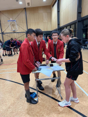 Counties Year 9 and 10 Mathex