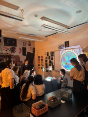 Year 11 Art and DVC Art Gallery Trip