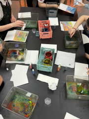 Year 11 Art and DVC Art Gallery Trip